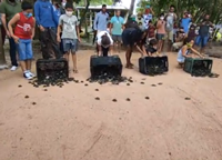 3ª Edição do Projeto Quelônios do Rio Tocantins – Itupiranga